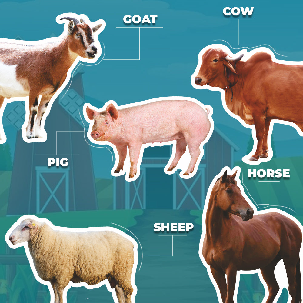Next Step Farm Animals Puzzles