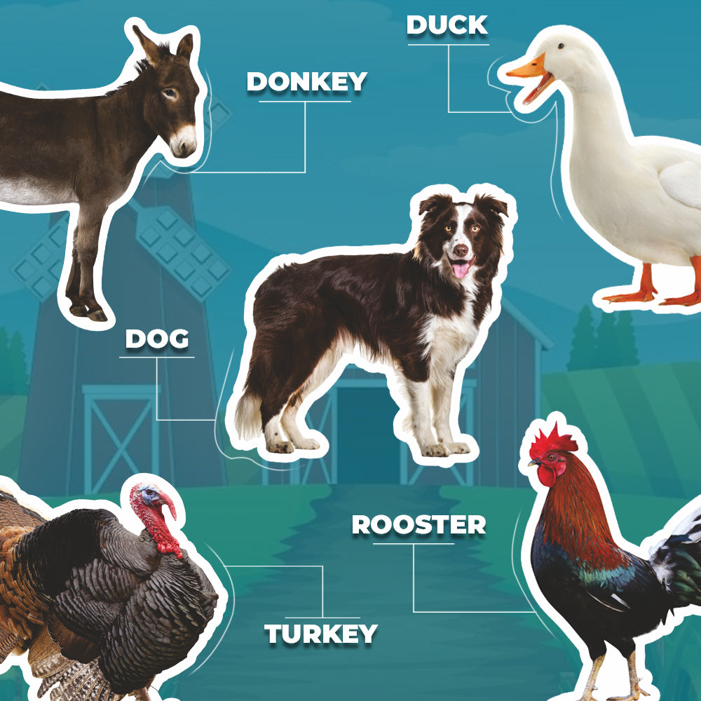 Next Step Farm Animals Puzzles