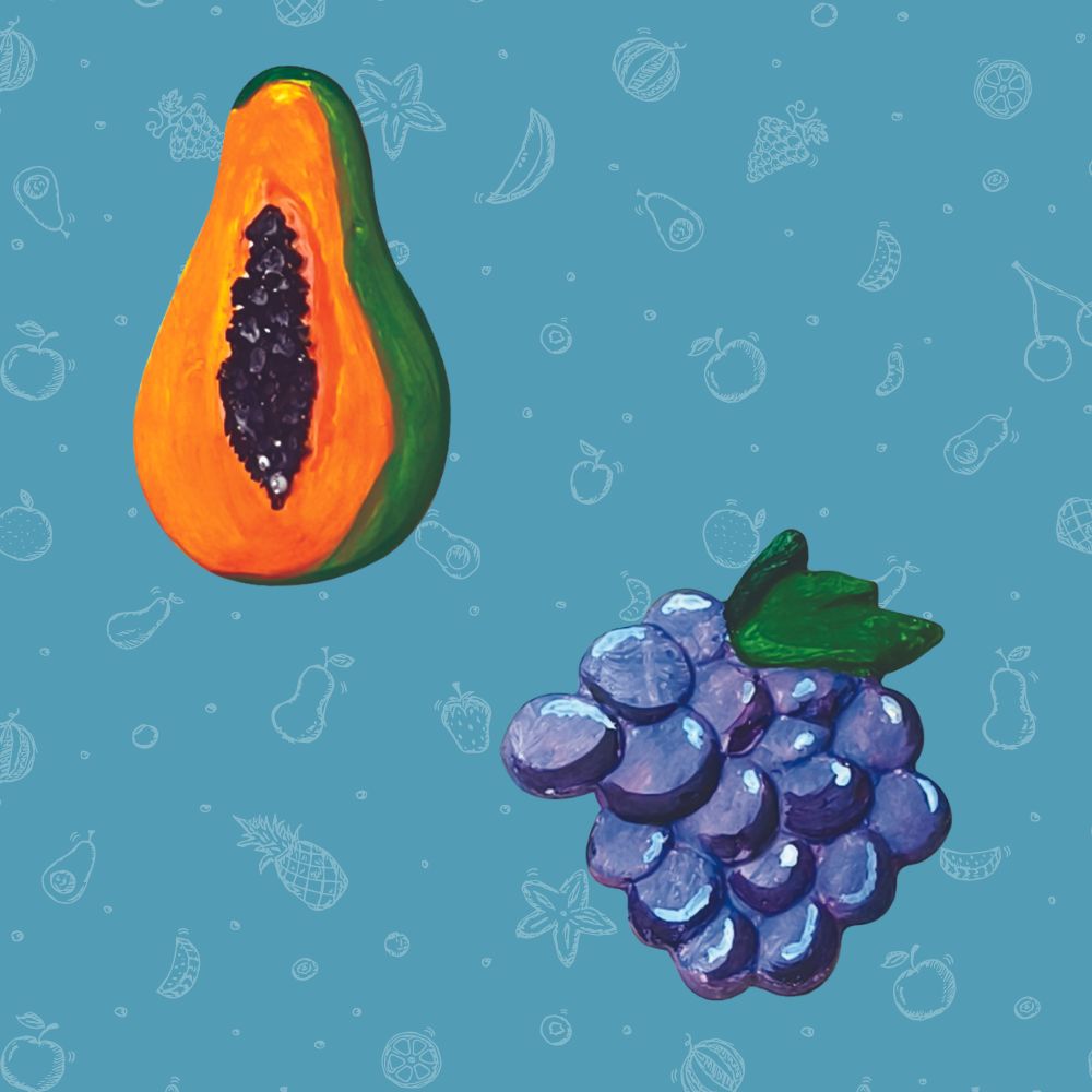 Mould & Paint - Fruit Magnets