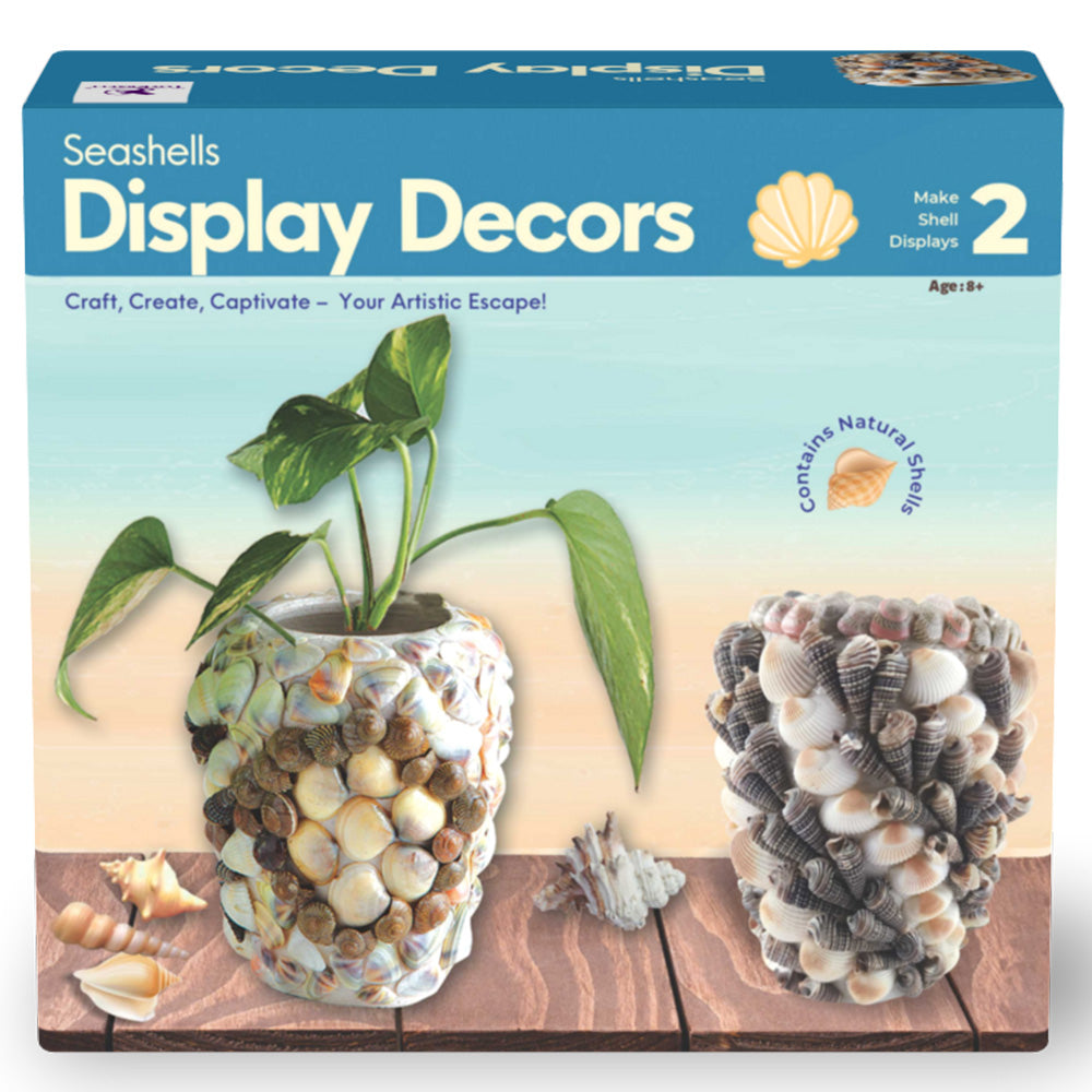 Seashells Display Decors