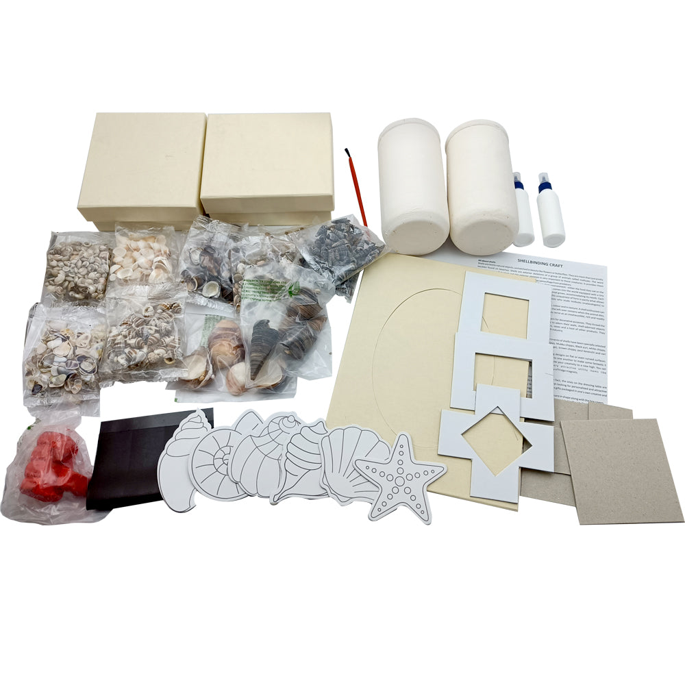 Seashells Shellbinding Craft