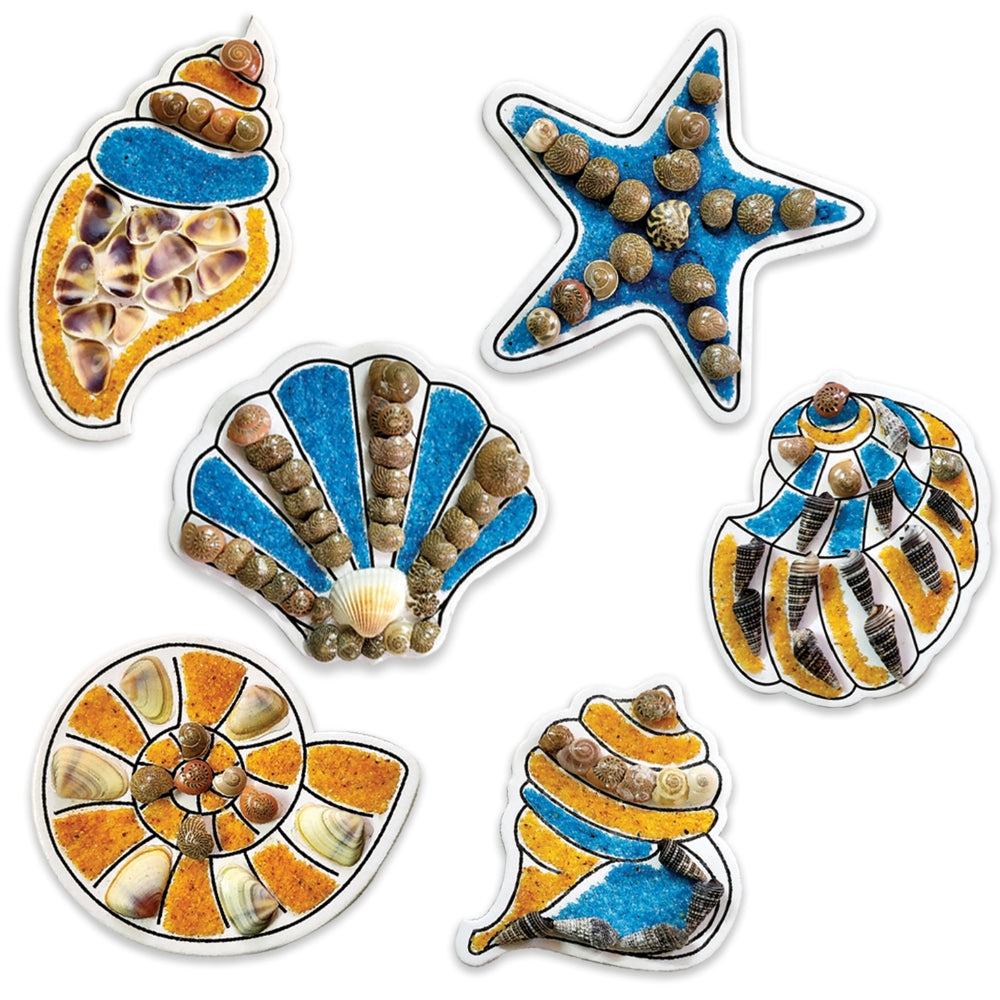 Seashells Shellbinding Craft