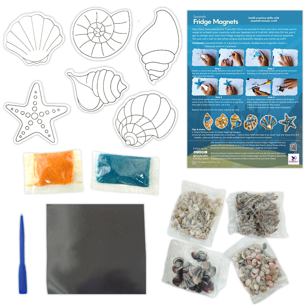 Seashells Fridge Magnets