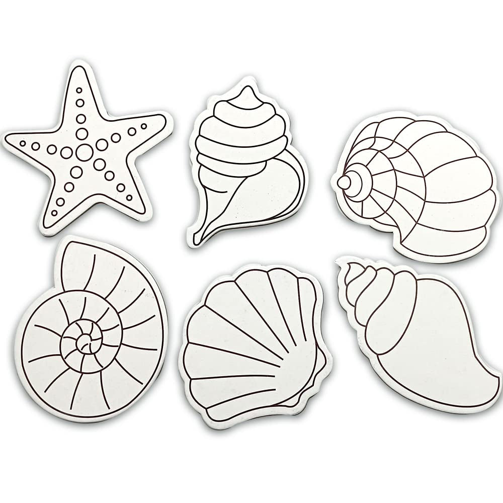 Seashells Fridge Magnets